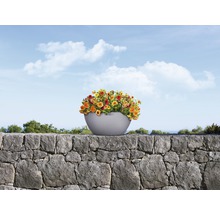 Blumen in Pflanzgefäss auf einer Steinmauer vor blauem Himmel
