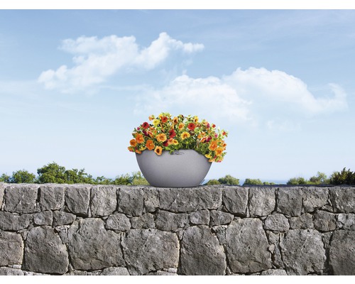 Blumen in Pflanzgefäss auf einer Steinmauer vor blauem Himmel
