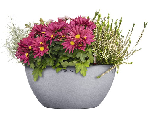 Blumenarrangement im Pflanzgefäss