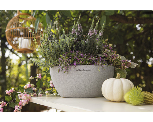Bepflanzter Lechuza Pflanzkübel mit Herbstdekoration