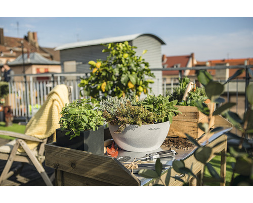 Szene mit Kräutern in Pflanzgefäßen auf einem Tisch im Freien