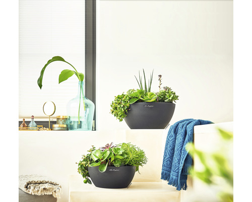 Deux pots de fleurs Lechuza plantés à l''intérieur