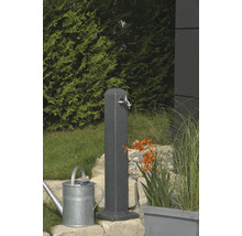 Scène de jardin avec borne fontaine, arrosoir et plantations