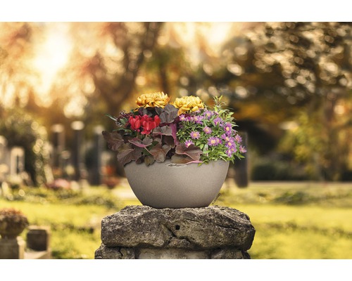 Blumentopf mit Blumen auf einem Grabstein