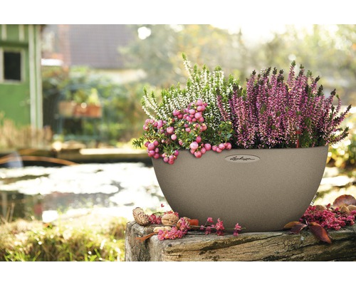 Beigefarbener Pflanzkübel mit Heidekraut und Schneebeeren im Aussenbereich.