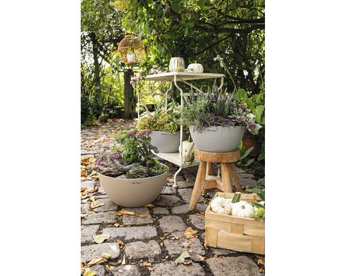 Gartenszene mit bepflanzten Pflanzgefäßen, Dekorationen und Gartenmöbeln auf einem gepflasterten Weg