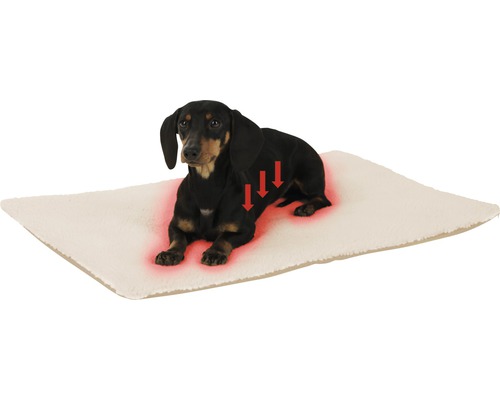Dackel liegt auf einem Hundebett