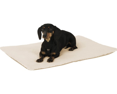 Dackel liegt auf einem rechteckigen Hundebett