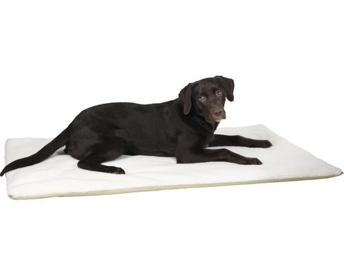 Dunkelbrauner Hund liegt auf Hundebett