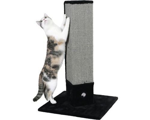 Chat utilisant un arbre à chat