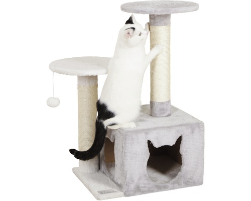 Katze kratzt an einem Katzenkratzbaum mit Liegeflächen und Höhle
