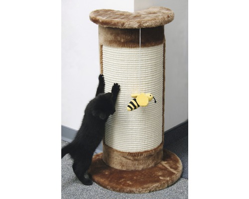 Chat utilisant un arbre à chat avec un jouet