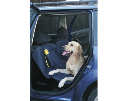 Chien assis sur une housse de siège auto à l''arrière ouverte d''une voiture bleue.