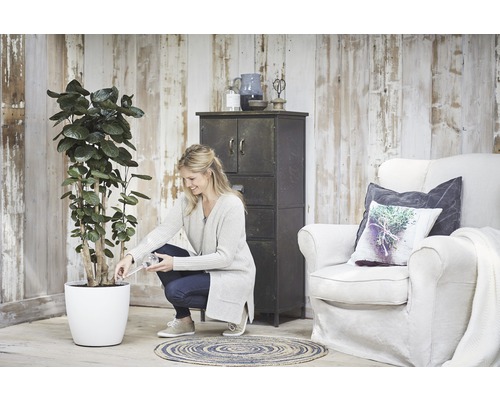 Femme arrose une plante dans un pot blanc dans un salon avec armoire et fauteuil