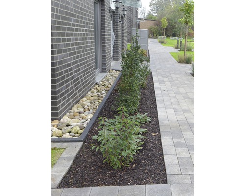 Extérieur avec pavés, plantes et pierres décoratives