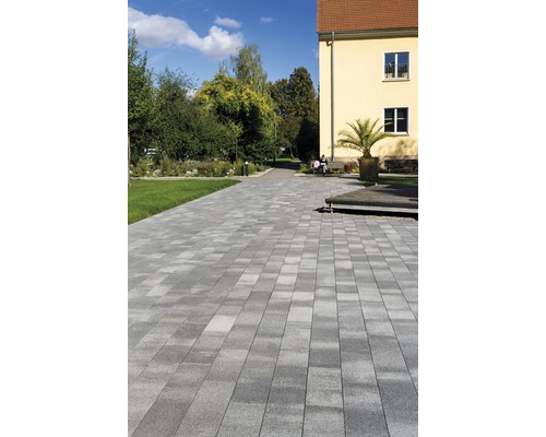 Gepflasterter Weg durch einen Park mit Bäumen und einem Gebäude