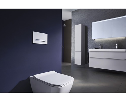 Modernes Badezimmer mit Wand-WC, Betätigungsplatte, Waschtisch und Spiegelschrank