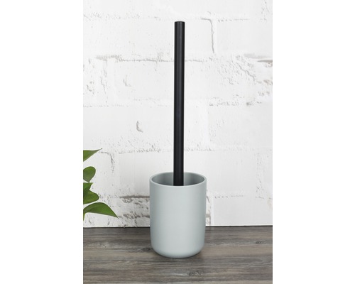 Brosse de toilette avec support