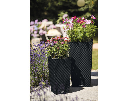 Zwei Pflanzkübel mit Blumen auf einer Terrasse