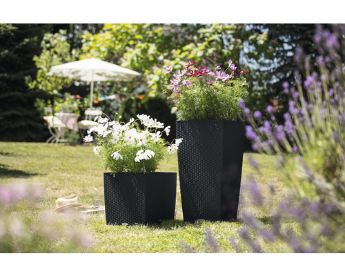 Zwei schwarze Pflanzgefäße mit Blumen im Garten