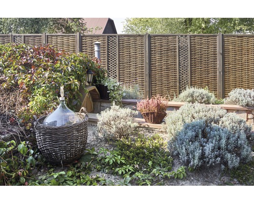 Scène de jardin avec clôture en osier, plantes et bonbonne
