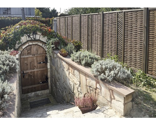 Vue extérieure avec mur de jardin, porte de cave en bois et clôture en treillis