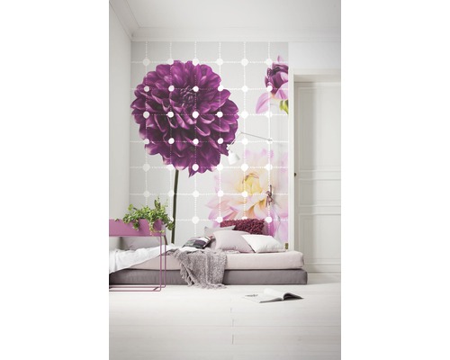 Pièce lumineuse avec papier peint photo à motif floral, lit bas et plantes d''intérieur