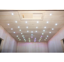 Infrarotkabine Sanotechnik Carbon 1 100x130x195 cm