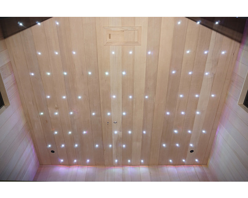 Plafond de sauna avec revêtement en bois et ciel étoilé