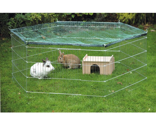 Enclos pour lapins avec grillage, couverture en filet et maison en bois dans le jardin