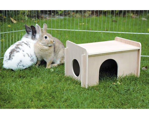 Maison en bois pour petits animaux avec deux lapins dans le jardin