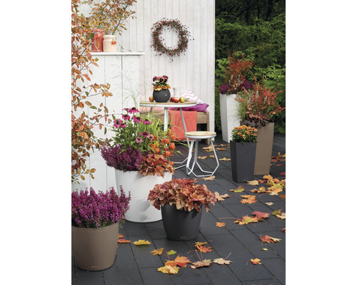 Scène de jardin automnale avec des cache-pots plantés, une table, une chaise et des feuilles d''automne.