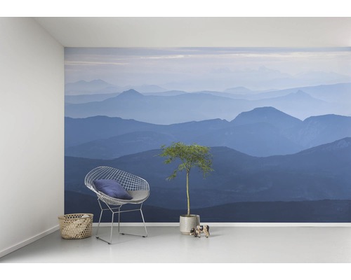 Aménagement intérieur avec papier peint photo de paysage de montagne, fauteuil en fil de fer, coussin, panier et plante d''intérieur