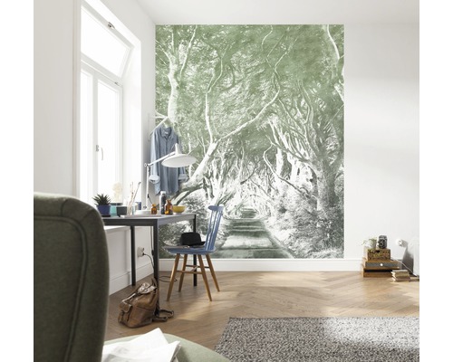Espace de vie avec papier peint photo d''un chemin forestier