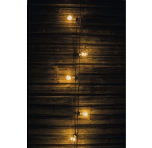 Ampoules sur mur en bois