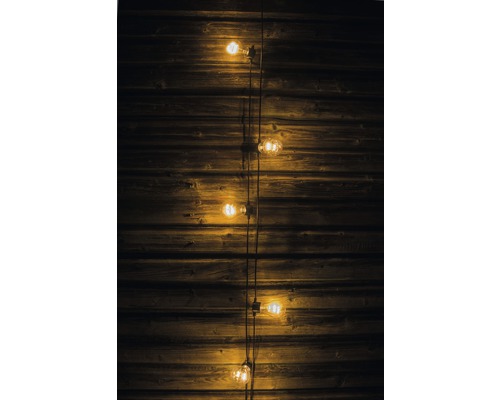 Ampoules sur mur en bois