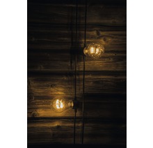 Deux ampoules Edison sur câbles devant un mur en bois