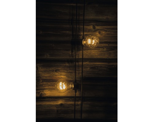 Deux ampoules Edison sur câbles devant un mur en bois