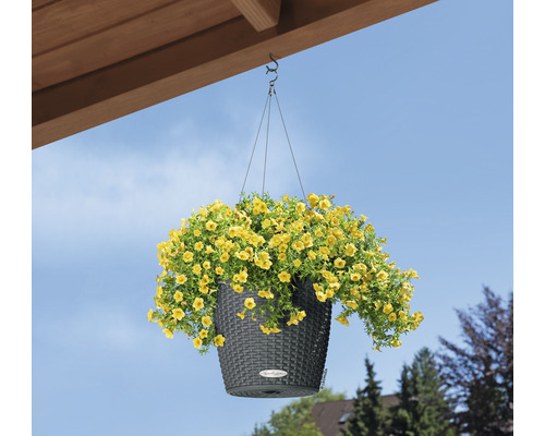 Suspension avec fleurs jaunes