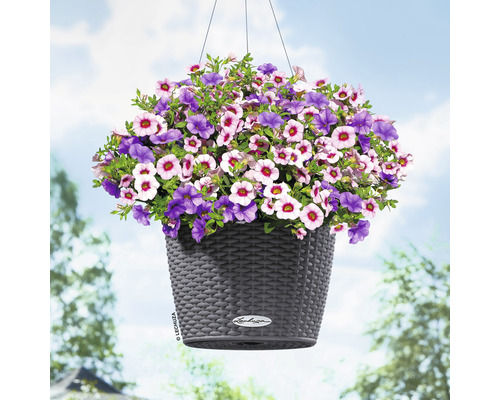 Suspension avec fleurs violettes et rose clair