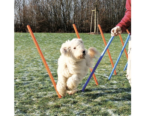 Jouet pour chien balle de tennis set de 2 6 cm, jaune - HORNBACH