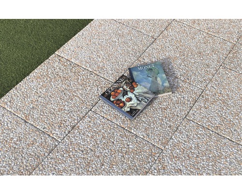 Dalles de terrasse avec deux livres d''art