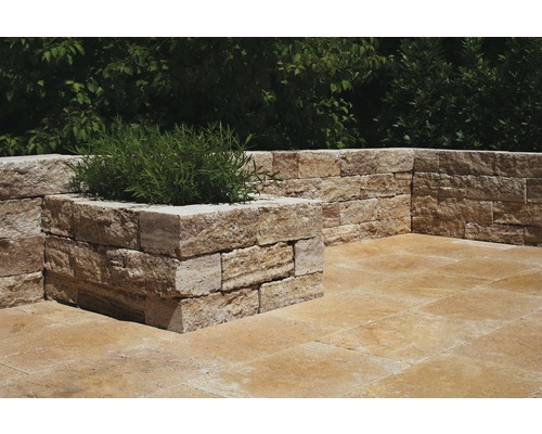 Idée d''aménagement pour un jardin avec un mur en pierre et un bac à plantes