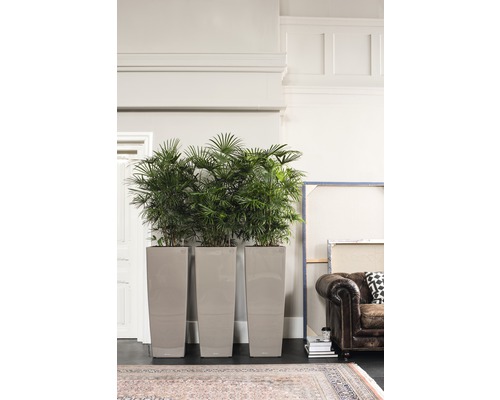 Trois jardinières hautes et étroites avec des plantes vertes dans une pièce lumineuse.