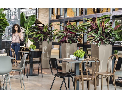 Intérieur avec tables, chaises et hauts bacs à plantes avec de la verdure pour une atmosphère agréable.