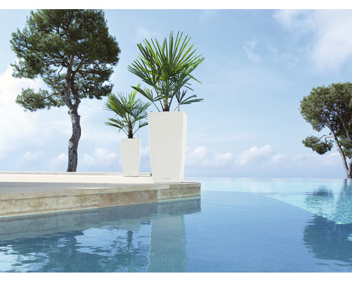 Zwei schlanke, hohe Pflanzkübel aus Kunststoff mit Pflanzen neben einem Pool.