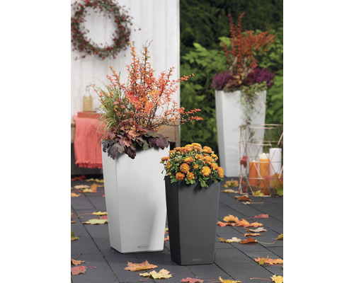 Szene mit zwei Pflanzgefäßen und Herbstdekoration im Freien