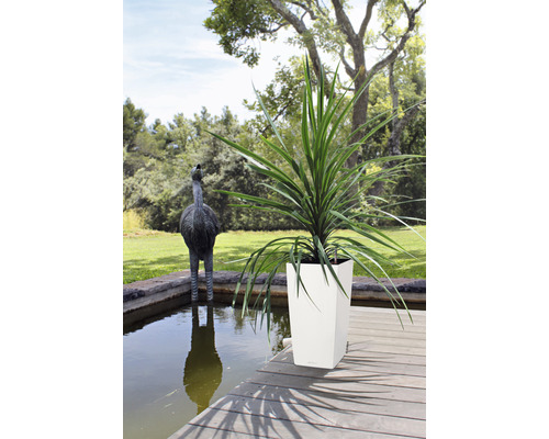 Hohe Pflanze in einem Pflanzgefäss auf einer Holzterrasse neben einem Gartenteich mit einer Straußenskulptur