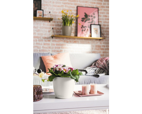 Décoration intérieure décorative avec table, canapé, étagères et fleurs