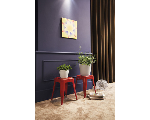 Intérieur avec tableau, plantes en pot sur tabourets, magazines et boule décorative